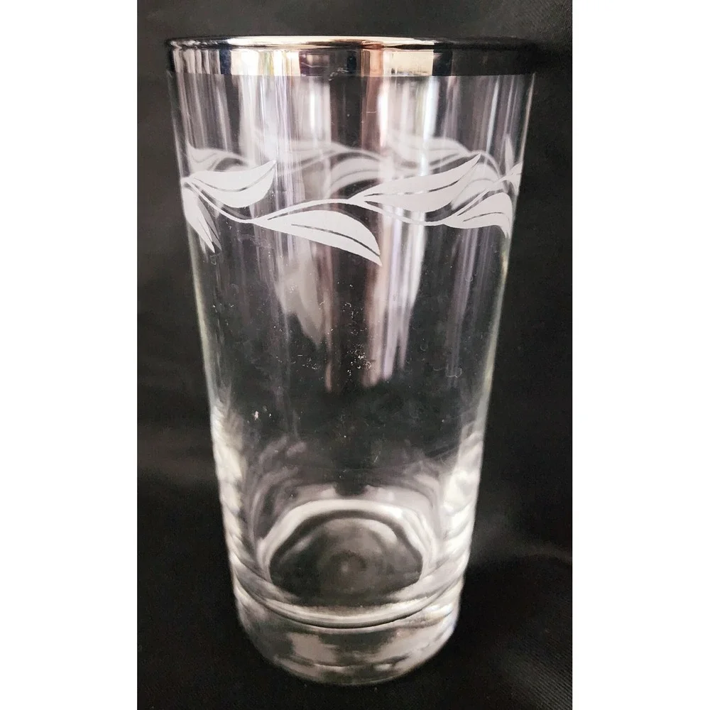 Vtg Platinum Rimmed Laurel Willow Etched Crystal France Glasses 2 Stem 3 Without